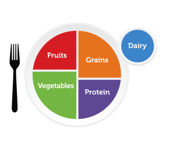 illustration of how nutrition should be portioned on a dinner plate